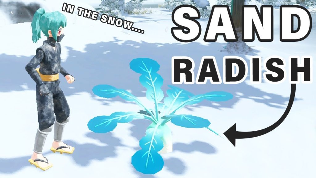 Where to find sand radishes in Pokemon legends