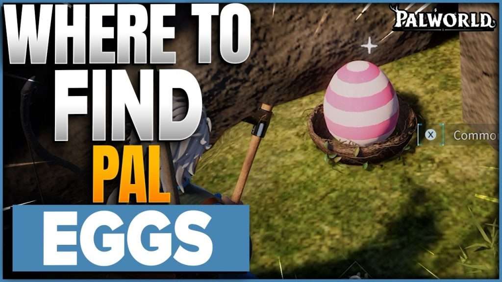 Where to Fing pal Eggs